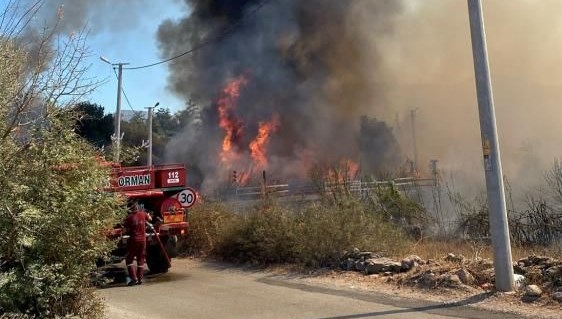 Bodrum’da sazlık alanda yangın