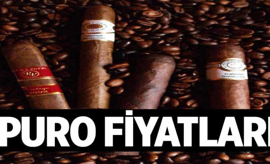 Puro Fiyatlari 1024x622iIZ.jpg